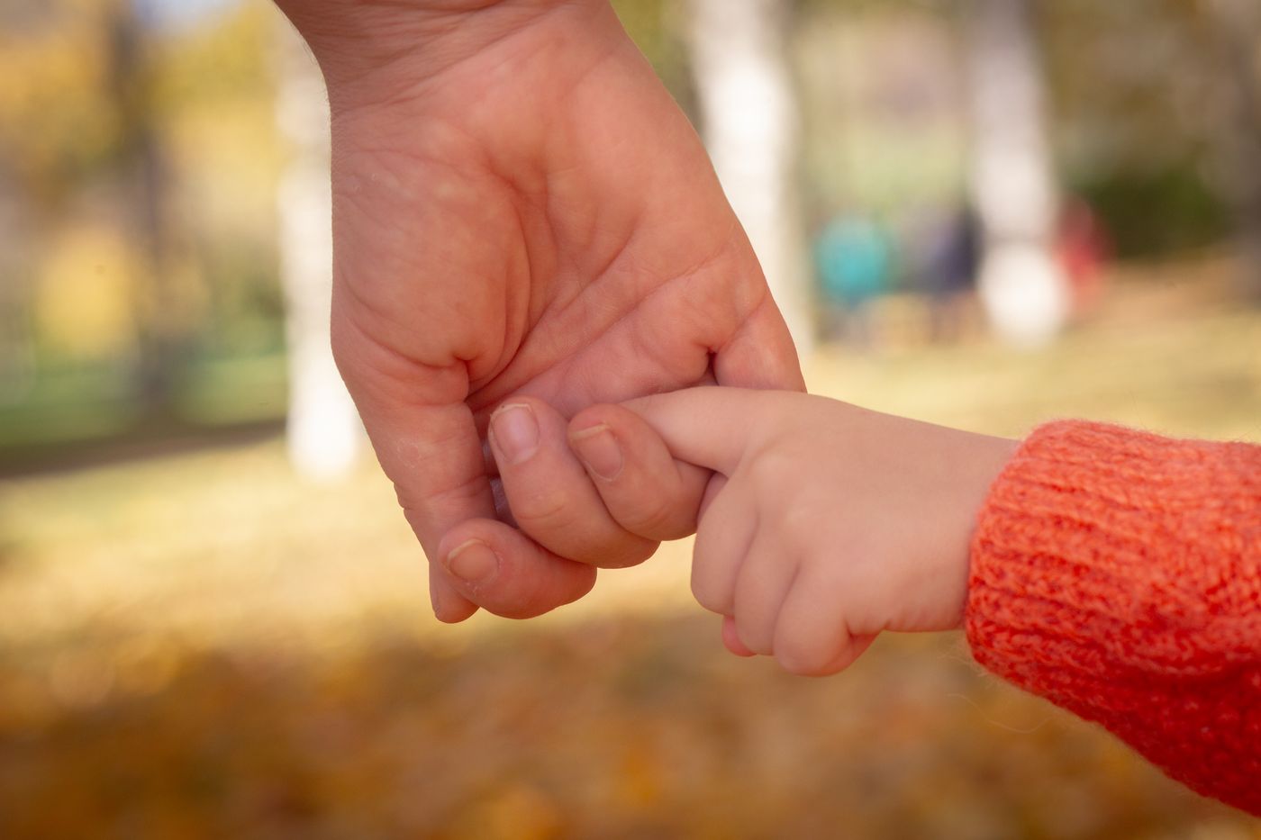 Main d'un adulte tenant celle d'un enfant, dans une lumière d'automne
